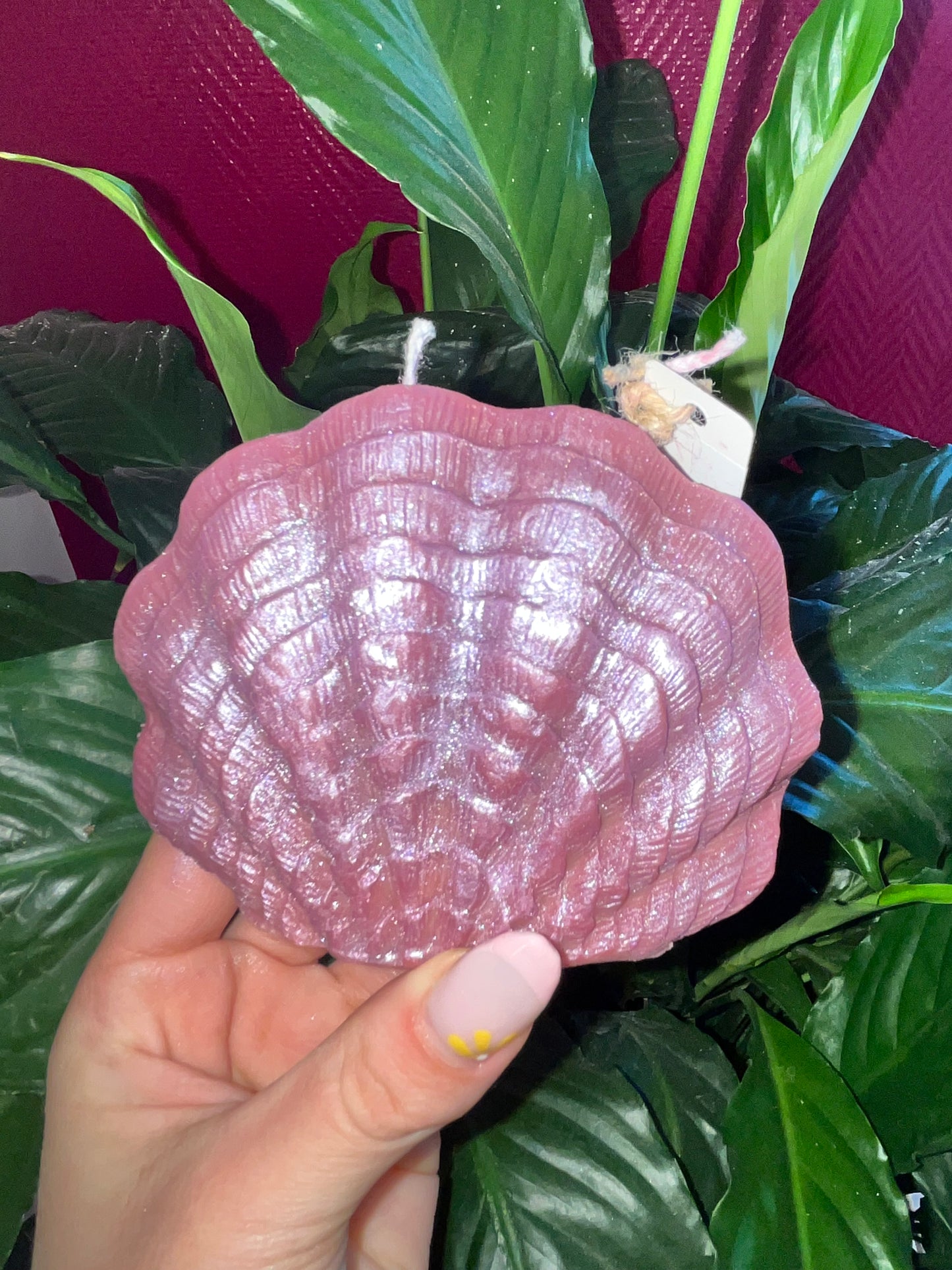 Grand Coquillages 🐚