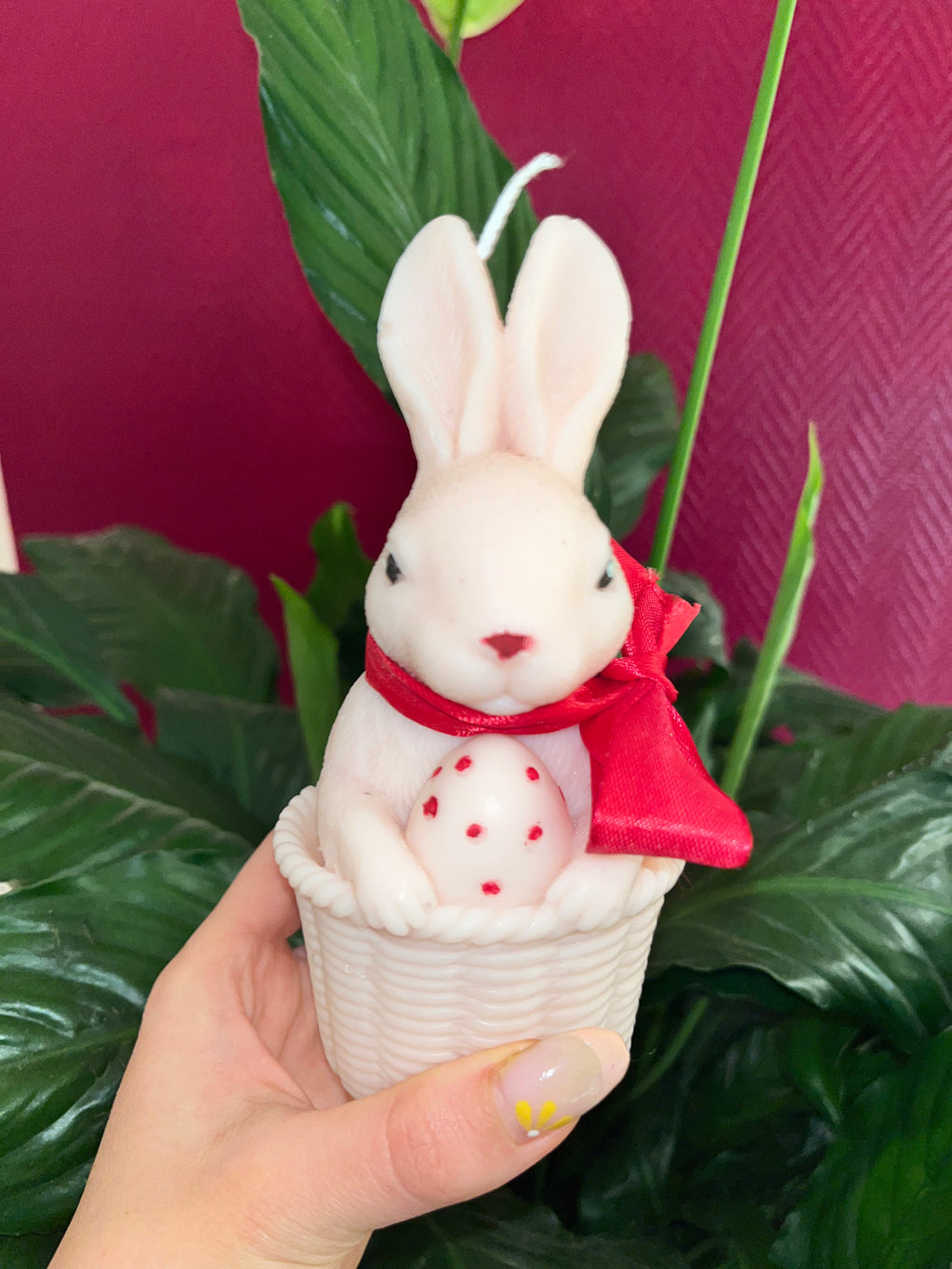 Grand lapin 🐰