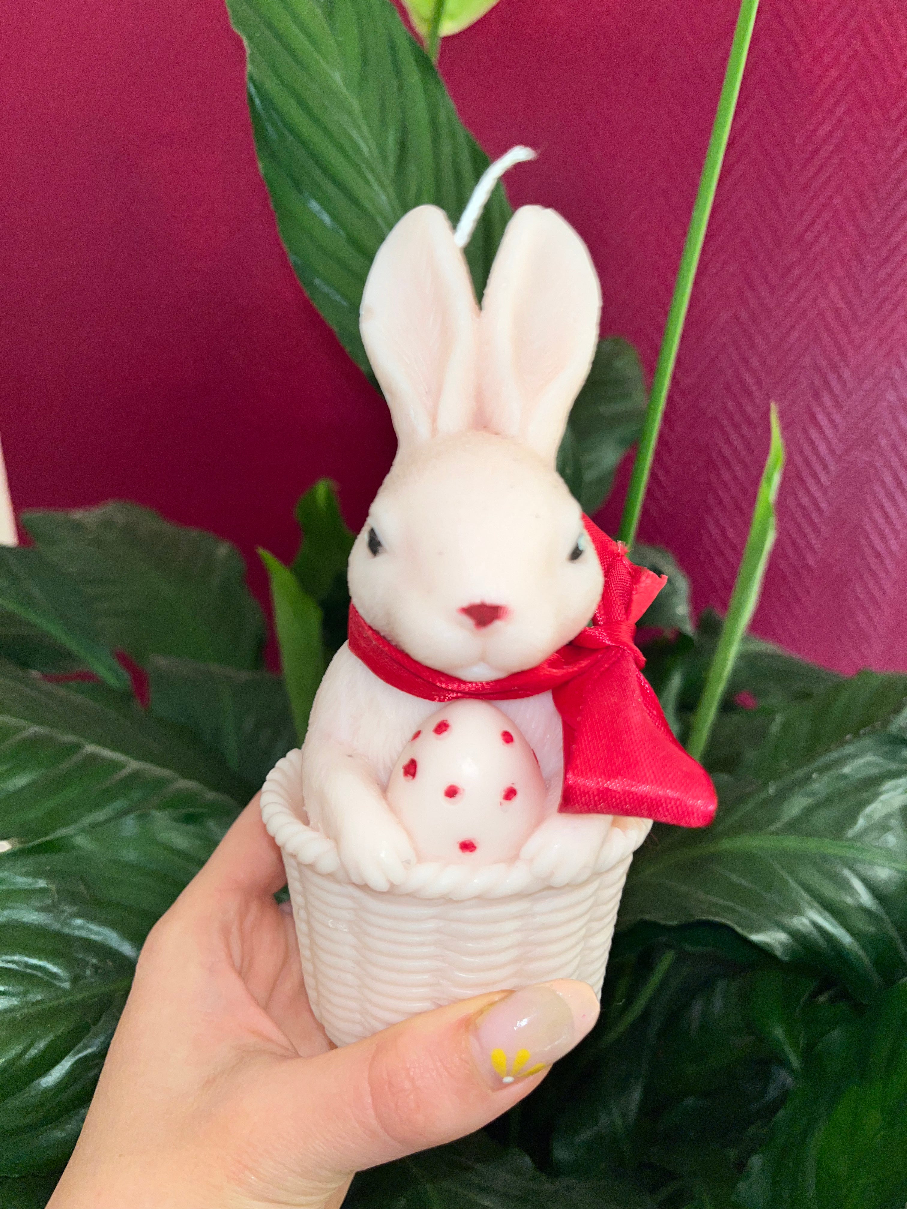 Grand lapin 🐰