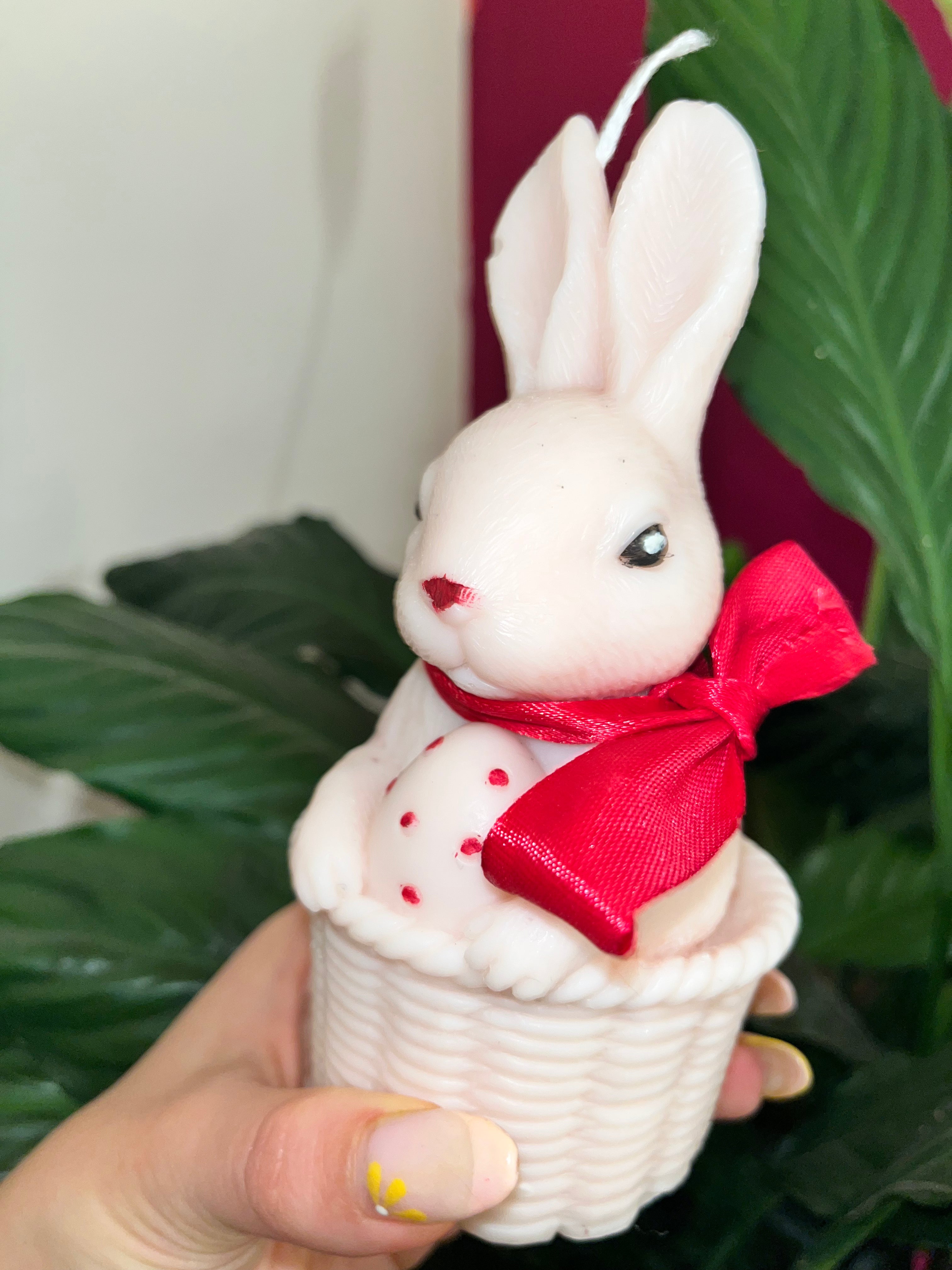Grand lapin 🐰