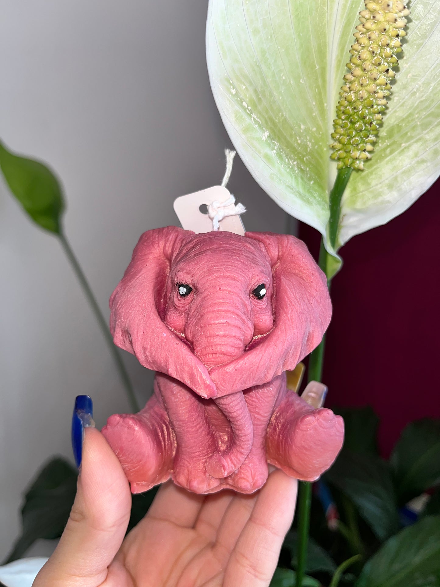L’Africa 🐘