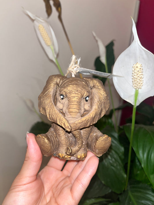 L’Africa 🐘