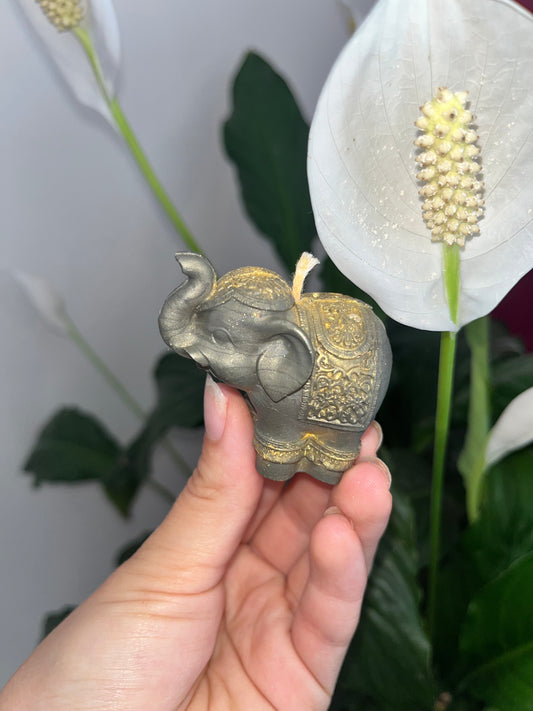 Thaïlandais 🐘