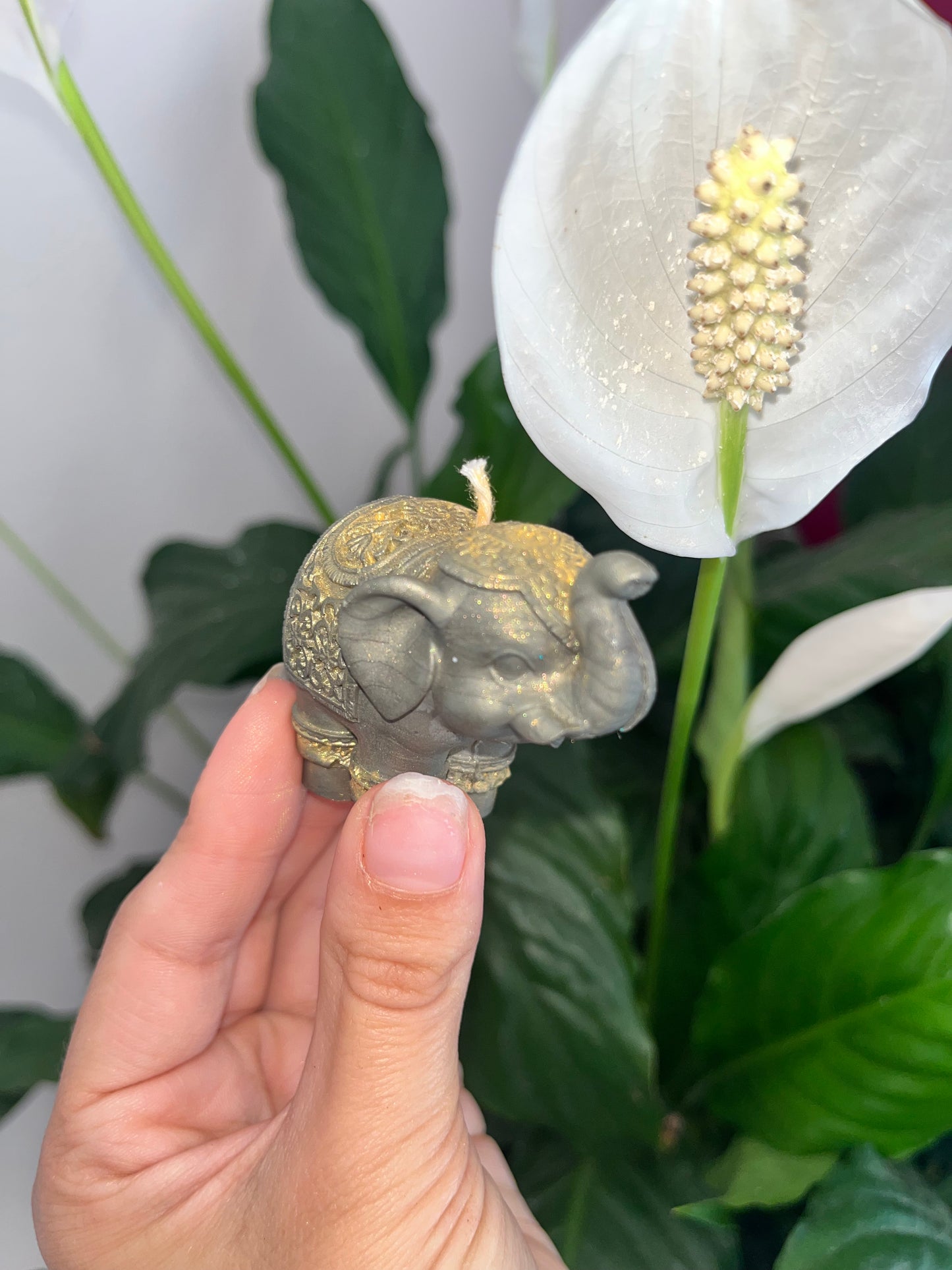 Thaïlandais 🐘